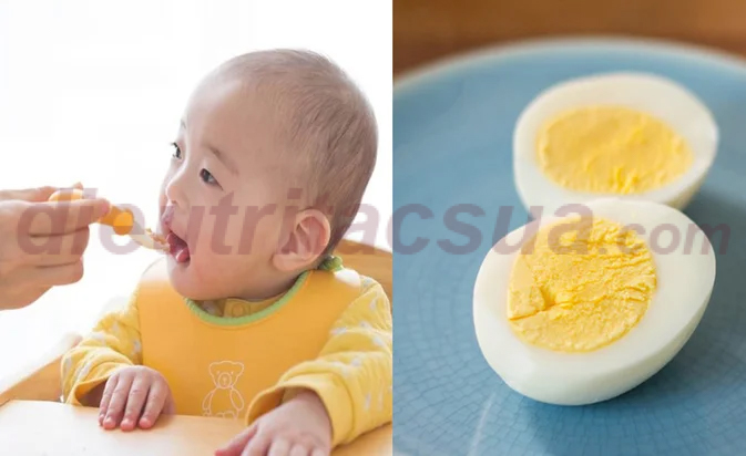 Cho trẻ sơ sinh ăn trứng 